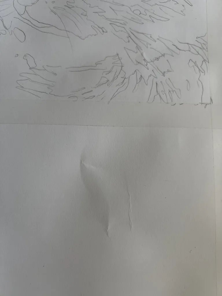 مقوا اشتنباخ مدل draw155 سایز 50x70 سانتی متر بسته 10 عددی