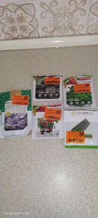 بذر تره بذر طلایی برتر کد BZT-90