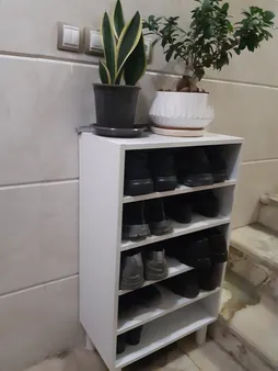 جاکفشی مدل الیت