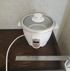 تجریه خرید پلوپز 2 نفره پارس خزر مدل 61