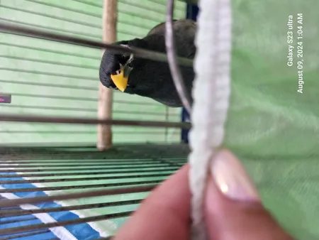 کاور قفس حیوانات مدل 1033