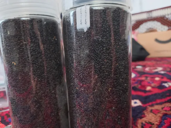 عکس ارسالی خریدار
