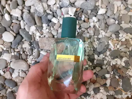 ادو پرفیوم مردانه زوا مدل مگاماره اورتو پاریسی با رایحه خنک حجم 70 میلی لیتر