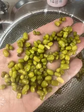 تجریه خرید ماش سبز دستچین کالا - 1200 گرم