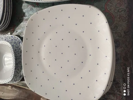 سرویس غذاخوری 27 پارچه چینی زرین ایران مدل کواترو ورنیکا درجه یک