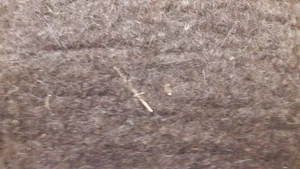 تجریه خرید نمد فرش مدل teb306