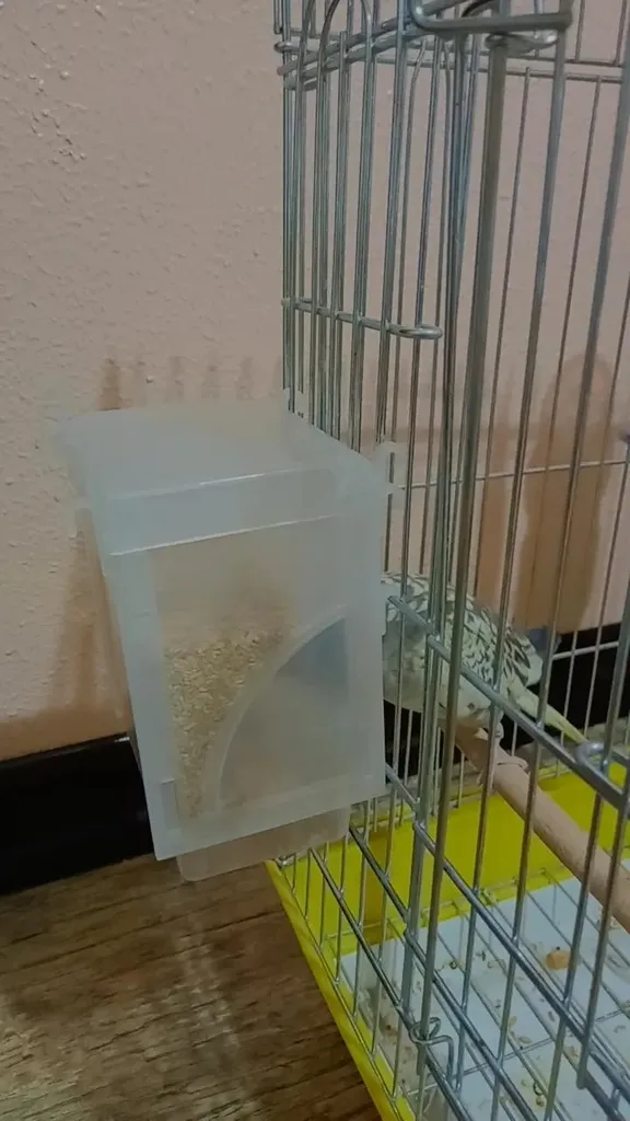 ظرف دانه مکانیزه کد 001