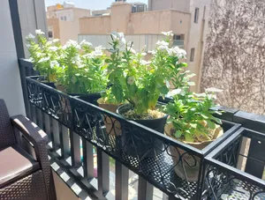 تجریه خرید استند گلدان دکومرآت مدل بالکنی طرح قلب