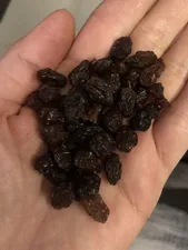 تجریه خرید کشمش پلویی اکبر راستگو - 500 گرم