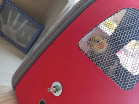 کوله پشتی حمل پرندگان مدل Z001