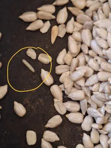 تجریه خرید مغز تخمه آفتابگردان خام ممتاز سرمد - 450 گرم بسته 2 عددی