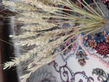 دسته گل خشک مدل خوشه گندم کد 40