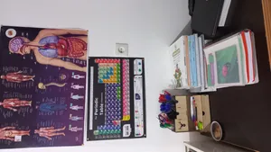 تجریه خرید پوستر آموزشی اندیشه کهن طرح آناتومی بدن انسان کد 301