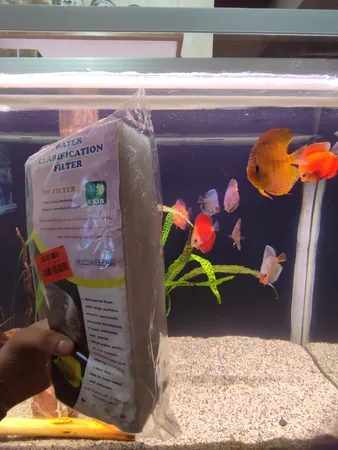 پد فیلتر آکواریوم مدل N 31235 بسته سه عددی