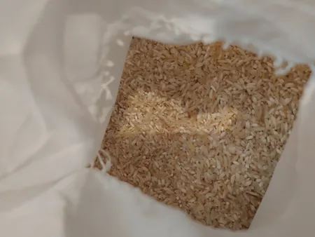 برنج ایرانی طارم فجر - 10 کیلوگرم