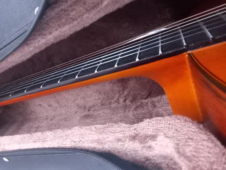 هارد کیس گیتار کلاسیک مدل black