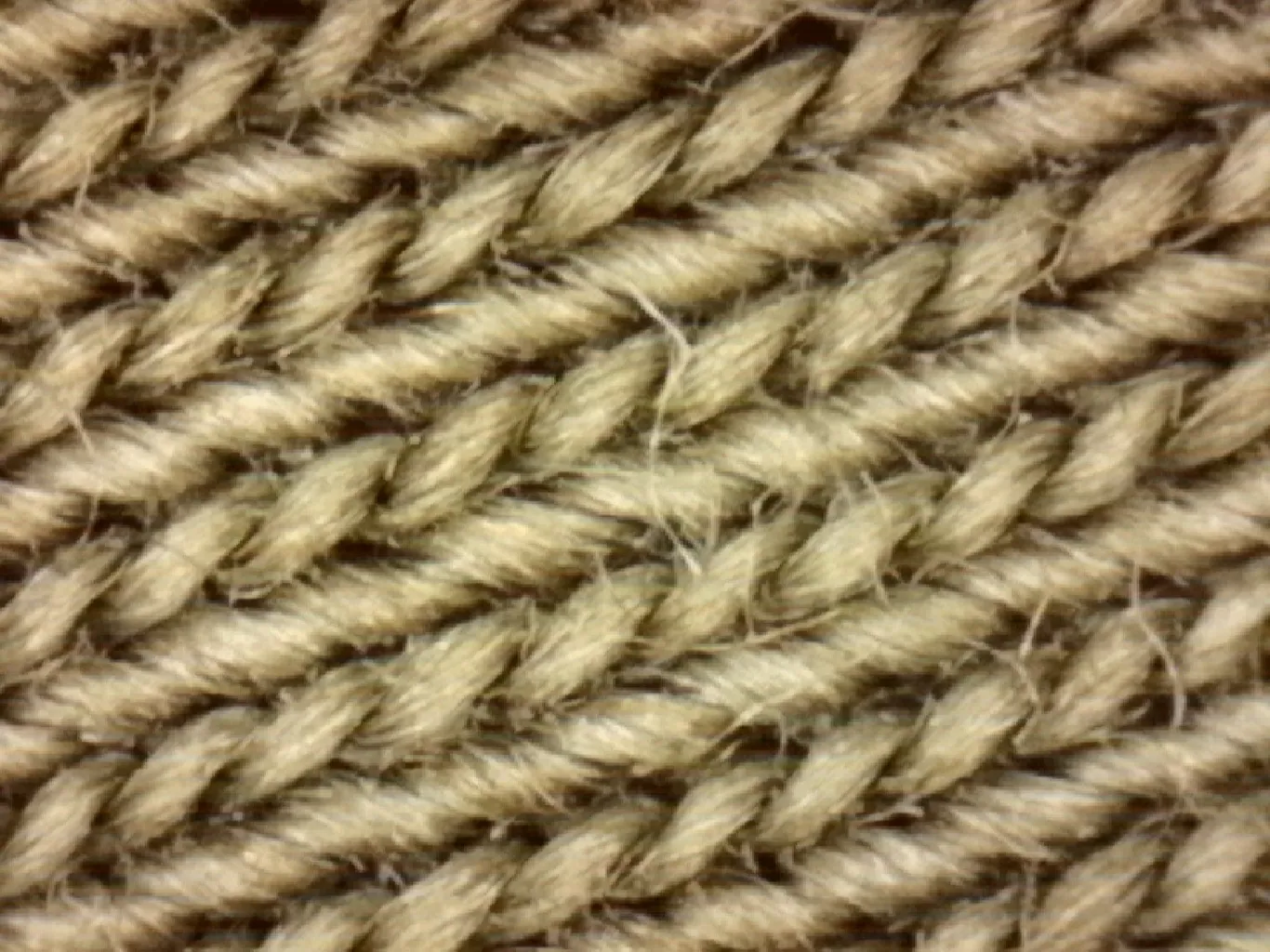 میکروسکوپ دیجیتال مدل 3USB-1600X