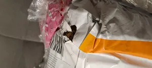 تجریه خرید غذا خشک گربه رفلکس مدل Chicken & Rice وزن 15 کیلوگرم