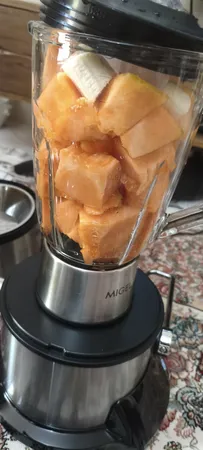 آبمیوه گیری میگل مدل GPJ 802