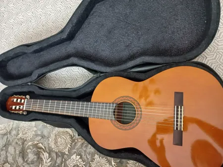 هارد کیس گیتار مدل 001