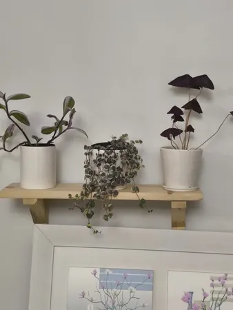 شلف دیواری مدل چوبی W00D