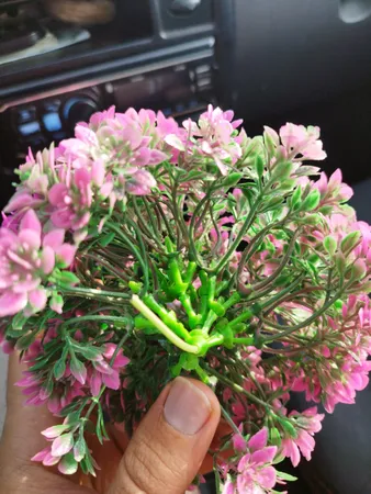 گیاه تزیینی آکواریوم آکوا مارس کد B09