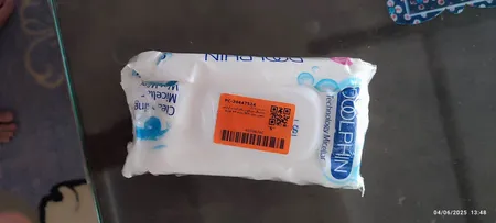 دستمال مرطوب پاک کننده آرایش دلفین مدل 001 بسته 60 عددی