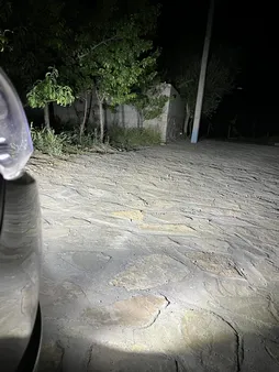 لامپ هدلایت خودرو مدل D9h11 بسته 2 عددی