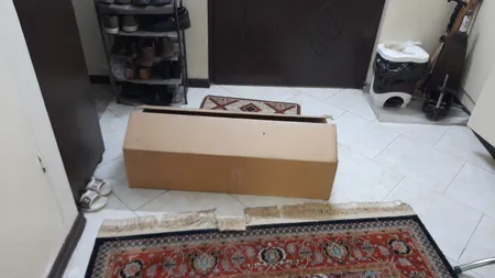 ست شیرآلات فراست پویا مدل هلن به همراه شلنگ توالت و دوش حمام