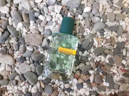 ادو پرفیوم مردانه زوا مدل مگاماره اورتو پاریسی با رایحه خنک حجم 70 میلی لیتر