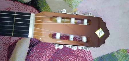 گیتار مدل فرد مدل dersis