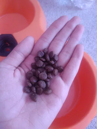 غذای خشک گربه مفید مدل ADULT1400 وزن 2 کیلوگرم