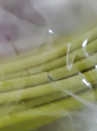 فنر سیم کشی رورو مدل TWS-ZZ020 طول 20 متر