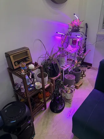 چراغ رشد گیاه 40 وات مدل Quad Head