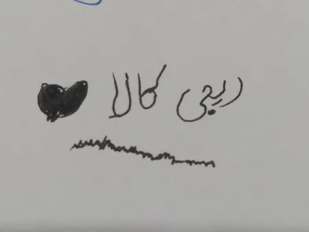 روان نویس شیائومی مدل 2WC بسته 2 عددی