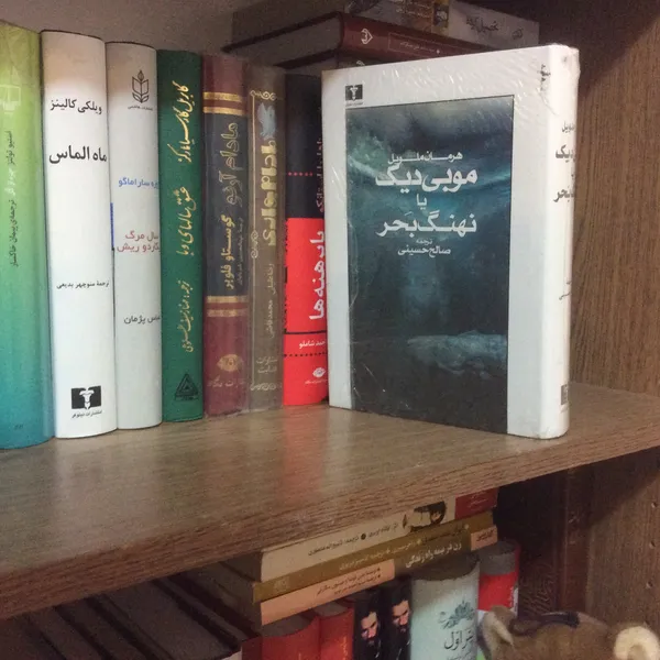 عکس ارسالی خریدار