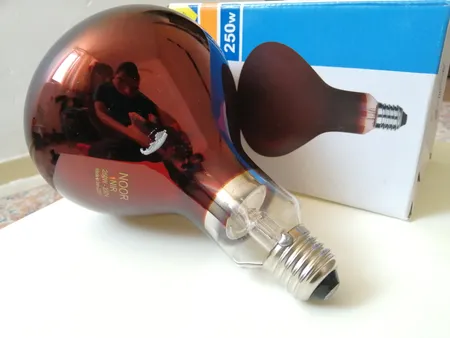 لامپ مادون قرمز 250 وات لامپ نور کد E27