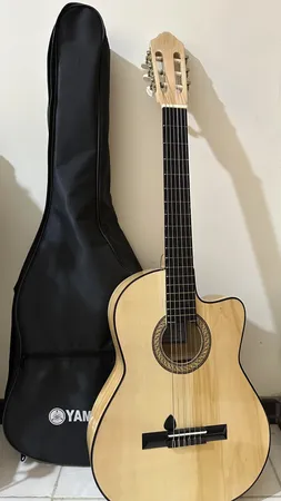 گیتار مدل C40