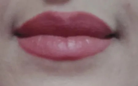 رژ لب جامد این لی مدل sc شماره 450