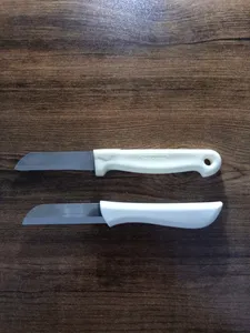 تجریه خرید کارد میوه خوری زولینگن مدل تیغه ساده بسته 6 عددی