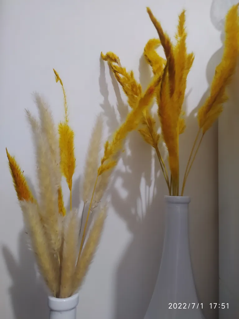 گل خشک مدل دم روباهی 10_4