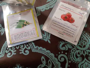 تجریه خرید بذر سبزیجات و قرمه سبزی خوراکی تالین بذر کد P-S-BZT-12 مجموعه 12 عددی