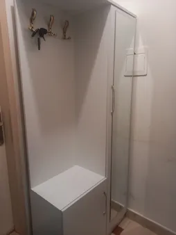 جاکفشی مدل FH313