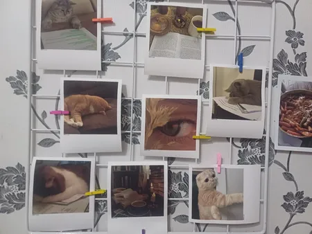 قفسه مدل NPT بسته 2 عددی