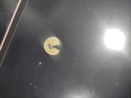 برنج شکسته هاشمی گیلان - 5 کیلوگرم