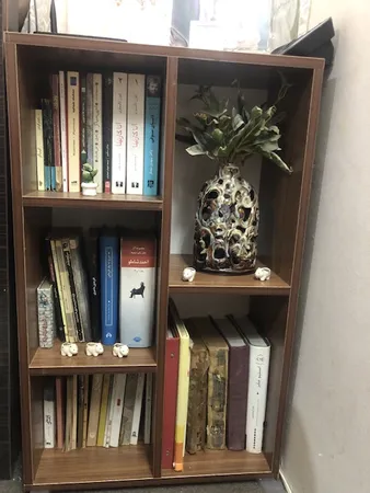 کتابخانه مدل قفسه ای IKE4407