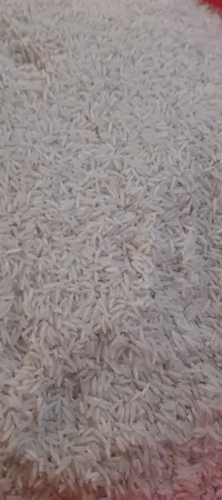 برنج طارم فجر - 10 کیلوگرم