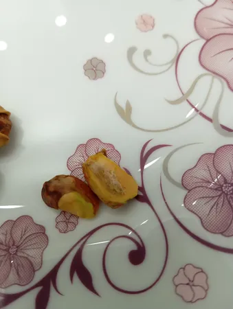 پسته فندقی نمکین زعفرانی گهربد - 600 گرم