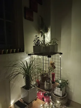 ریسه ال ای دی کد 100 طول 10 متر