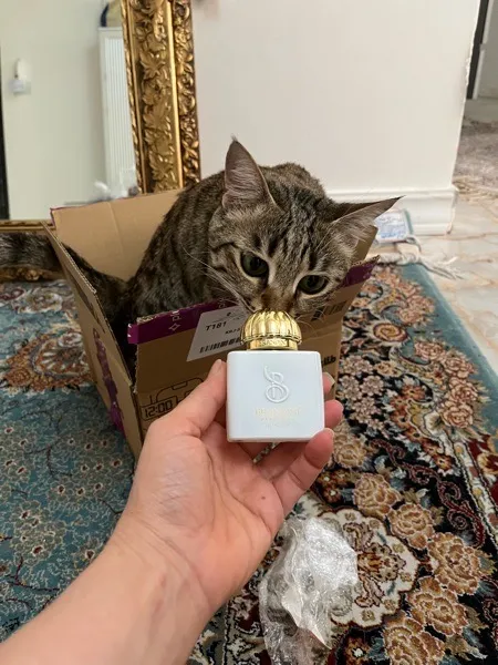عکس ارسالی خریدار